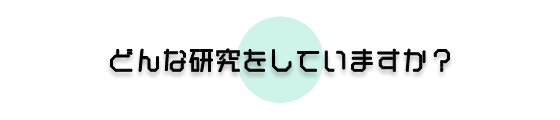 どんな研究をしていますか？